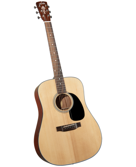 Blueridge BR-40